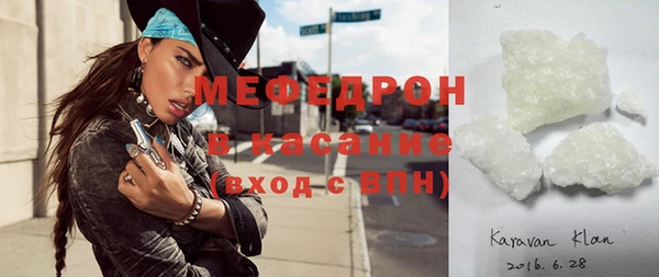 индика Надым