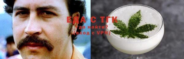 индика Надым