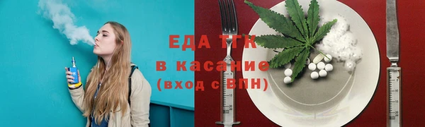 индика Надым