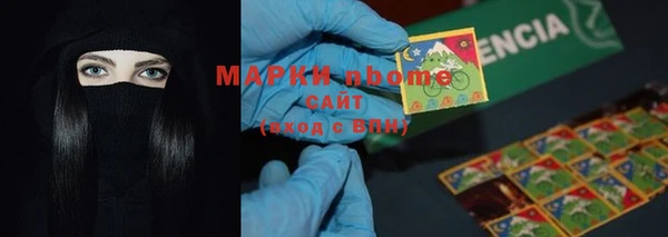 индика Надым