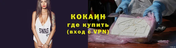 индика Надым