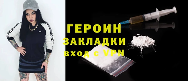индика Надым