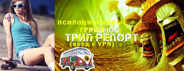 индика Надым