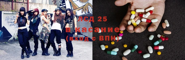 индика Надым