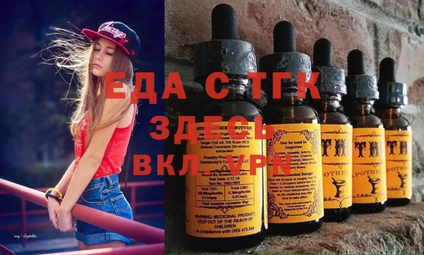 индика Надым