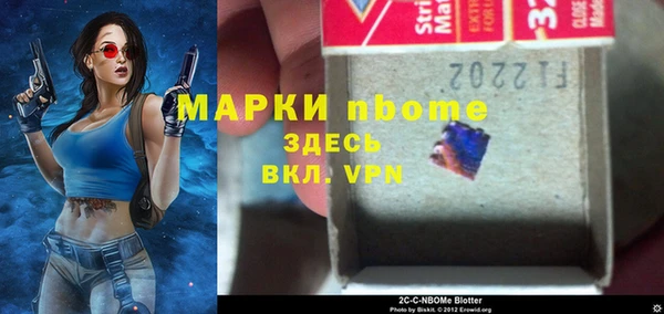 индика Надым
