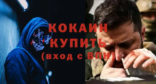 индика Надым