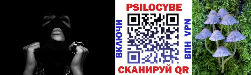 купить наркотики цена  KRAKEN ссылки  Галлюциногенные грибы Psilocybe  Ялта 