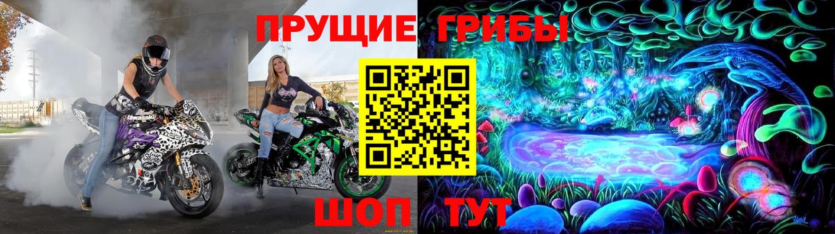 Псилоцибиновые грибы прущие грибы Ялта