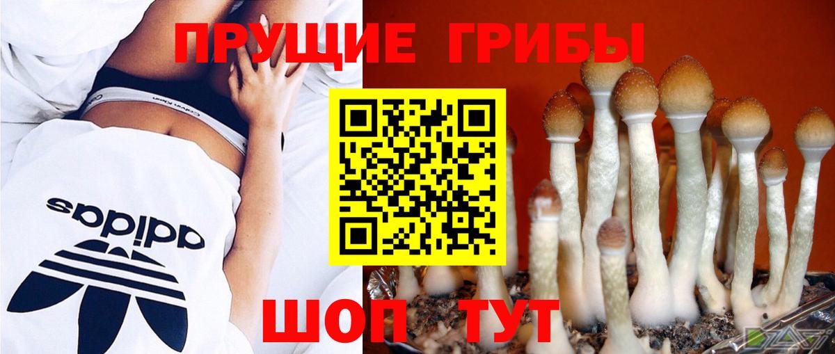 Псилоцибиновые грибы мицелий  наркотики  Псилоцибиновые грибы Magic Shrooms  Ялта  Вход с VPN 
